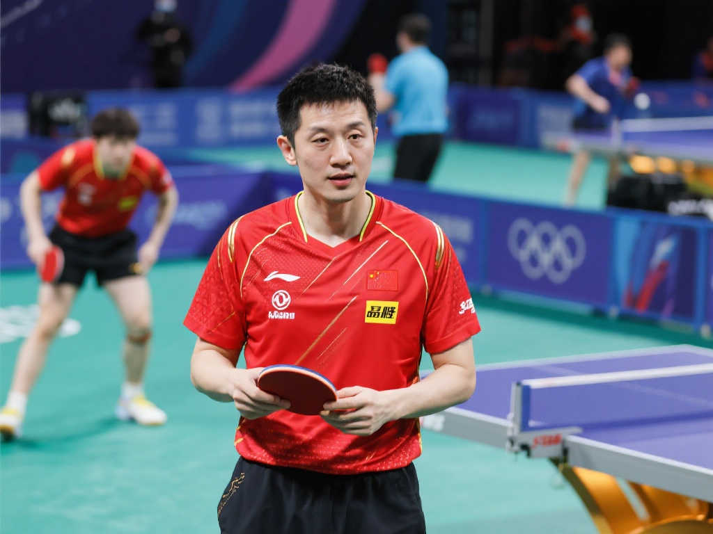 阵容带来的 阵容带来的