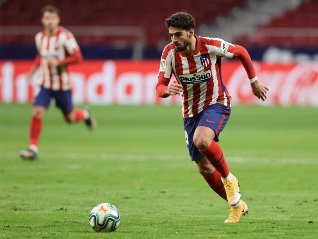 球迷心目中 球迷心目中