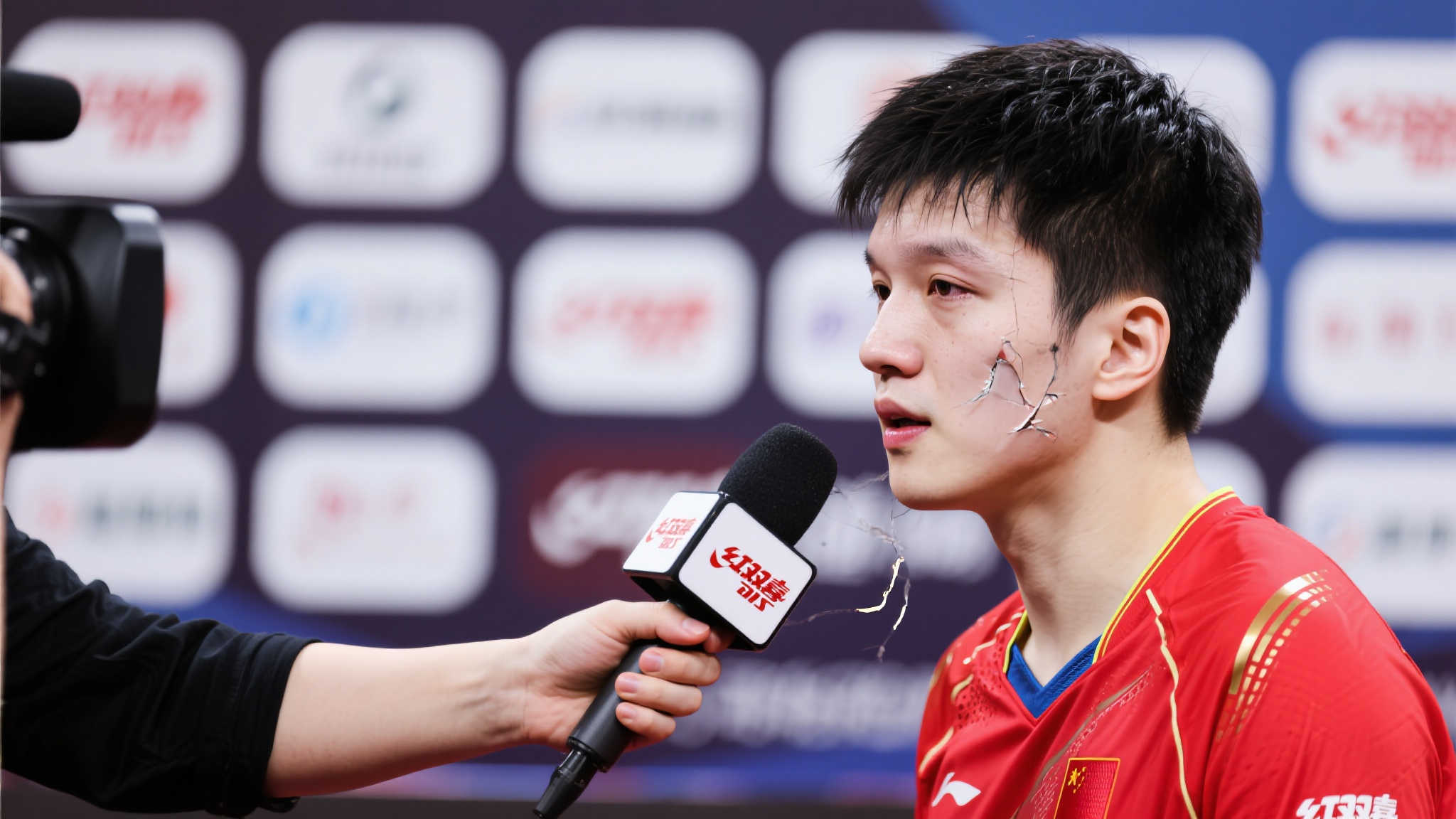 仅让人们看 仅让人们看